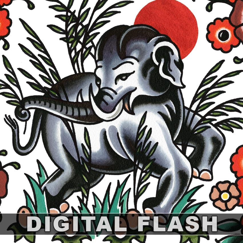 Amanda Grace Leadman digital download Amanda Grace Leadman 5 page Digital Flash #01-#05