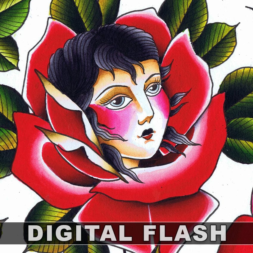 Ben Mollema digital download Ben Mollema 5 page Digital Flash #01-#05