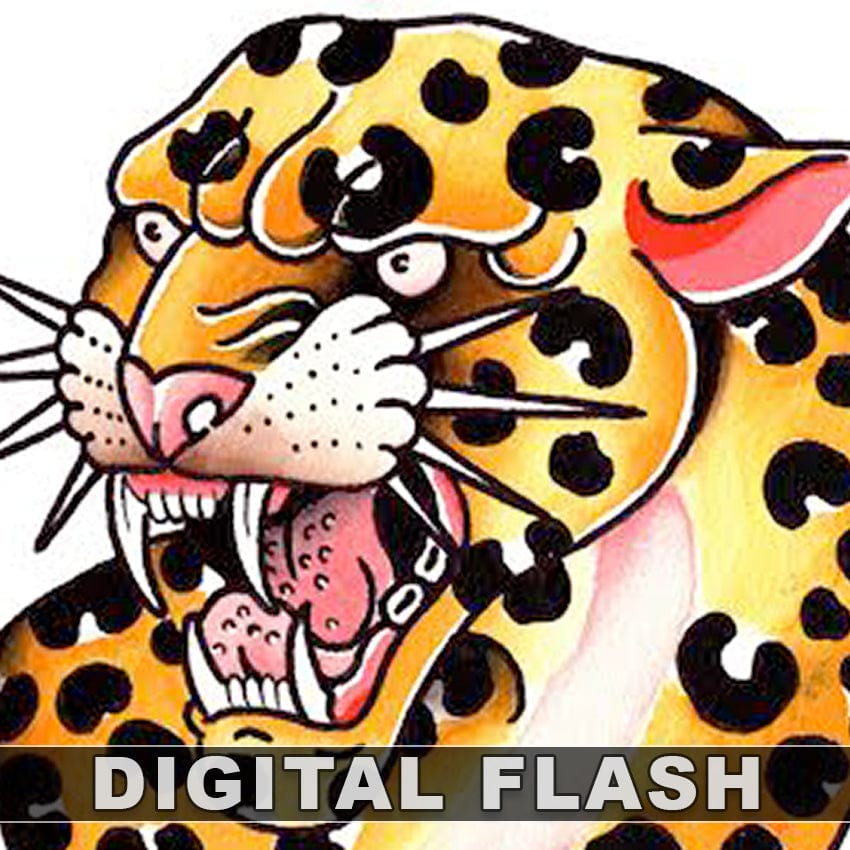 Cassie O'Neil digital download Cassie O'Neal 7 page Digital Flash #07-#13