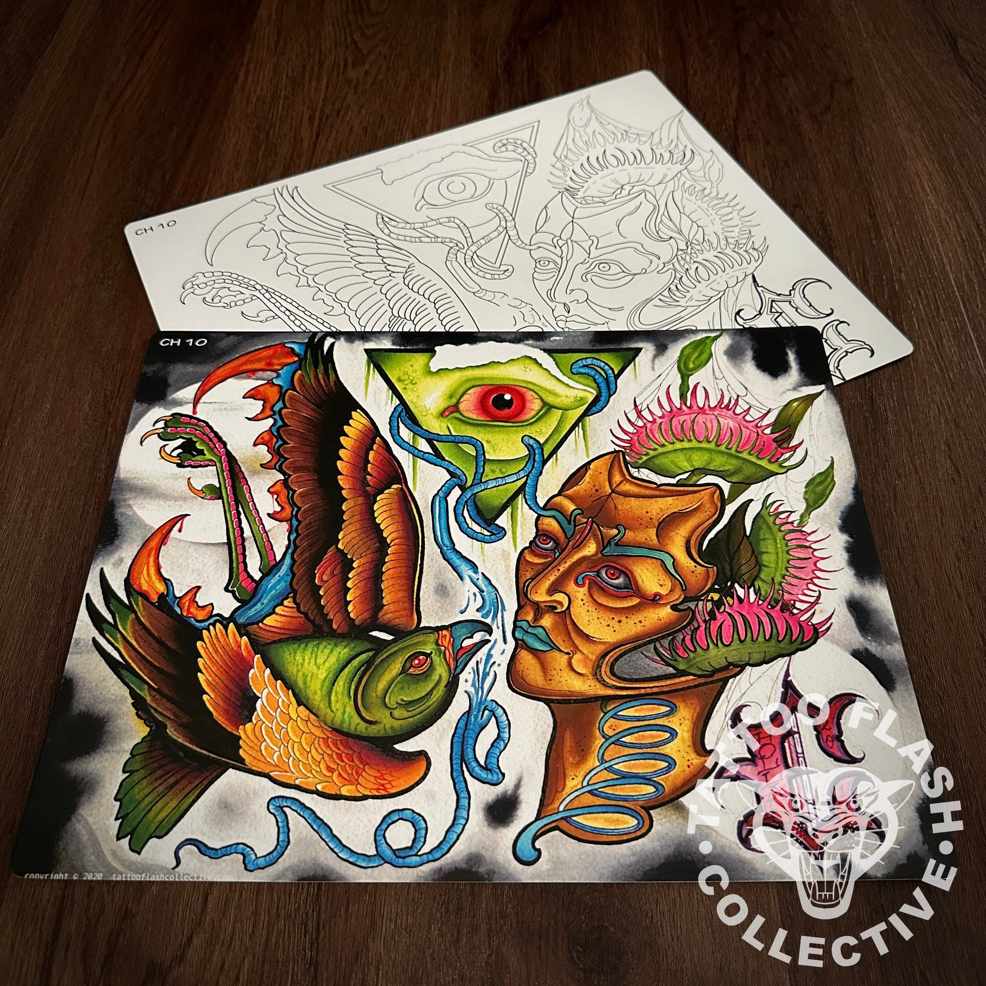 Chase Holland digital download Chase Holland 6 page Digital Flash #07-#12