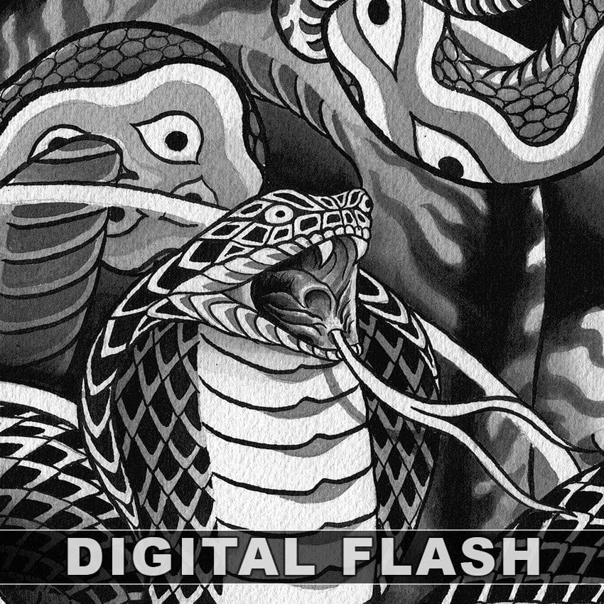 Dave Ball digital download Dave Ball 6 page Digital Flash #17-#22