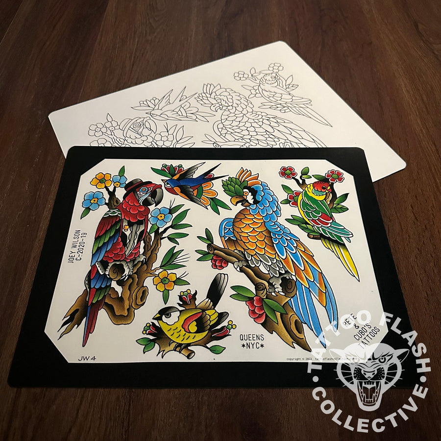 Joey Wilson Flash Joey Wilson #04