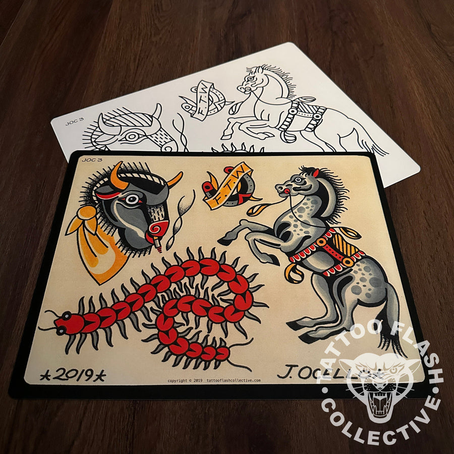 Jordan Ocello Flash Jordan Ocello #03