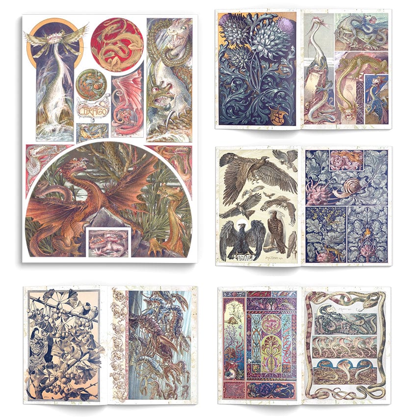 Tattoo Flash Collective Books Fantastical Beast & Plants (Scratch & Dent)