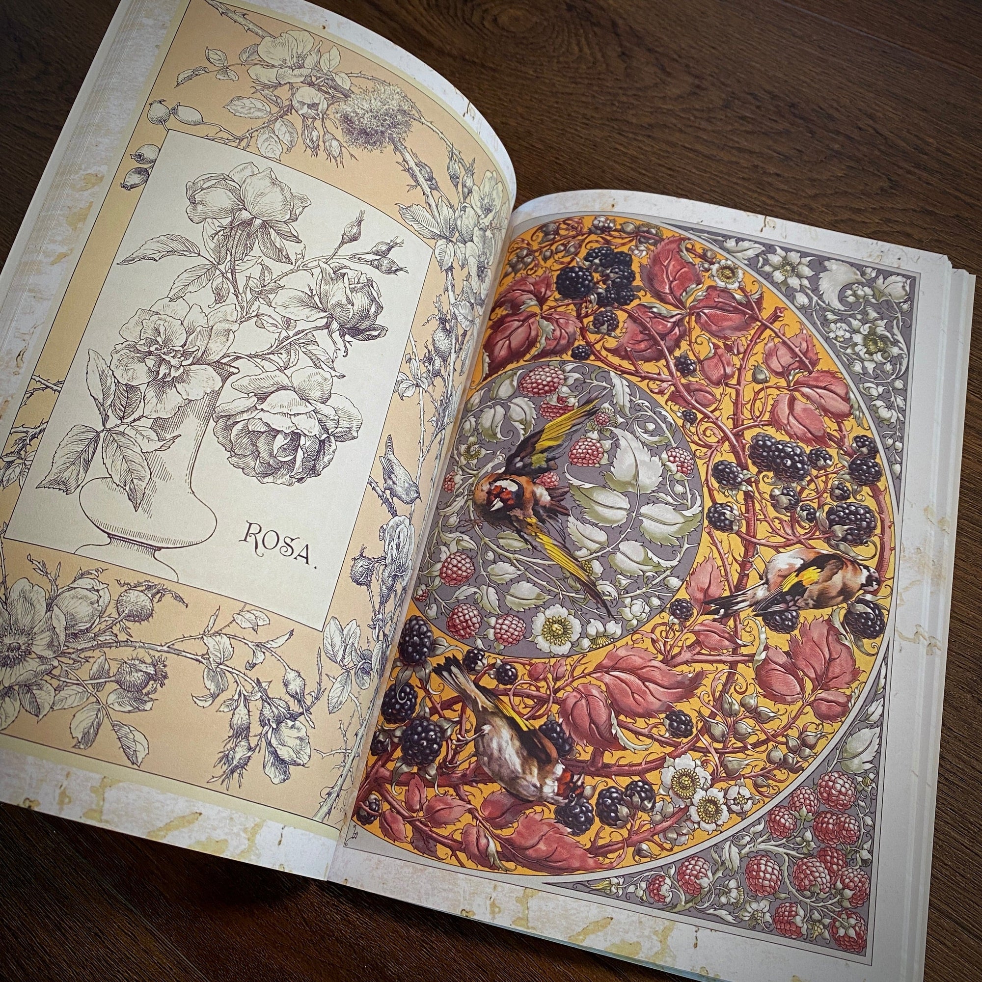 Tattoo Flash Collective Books Fantastical Beast & Plants (Scratch & Dent)