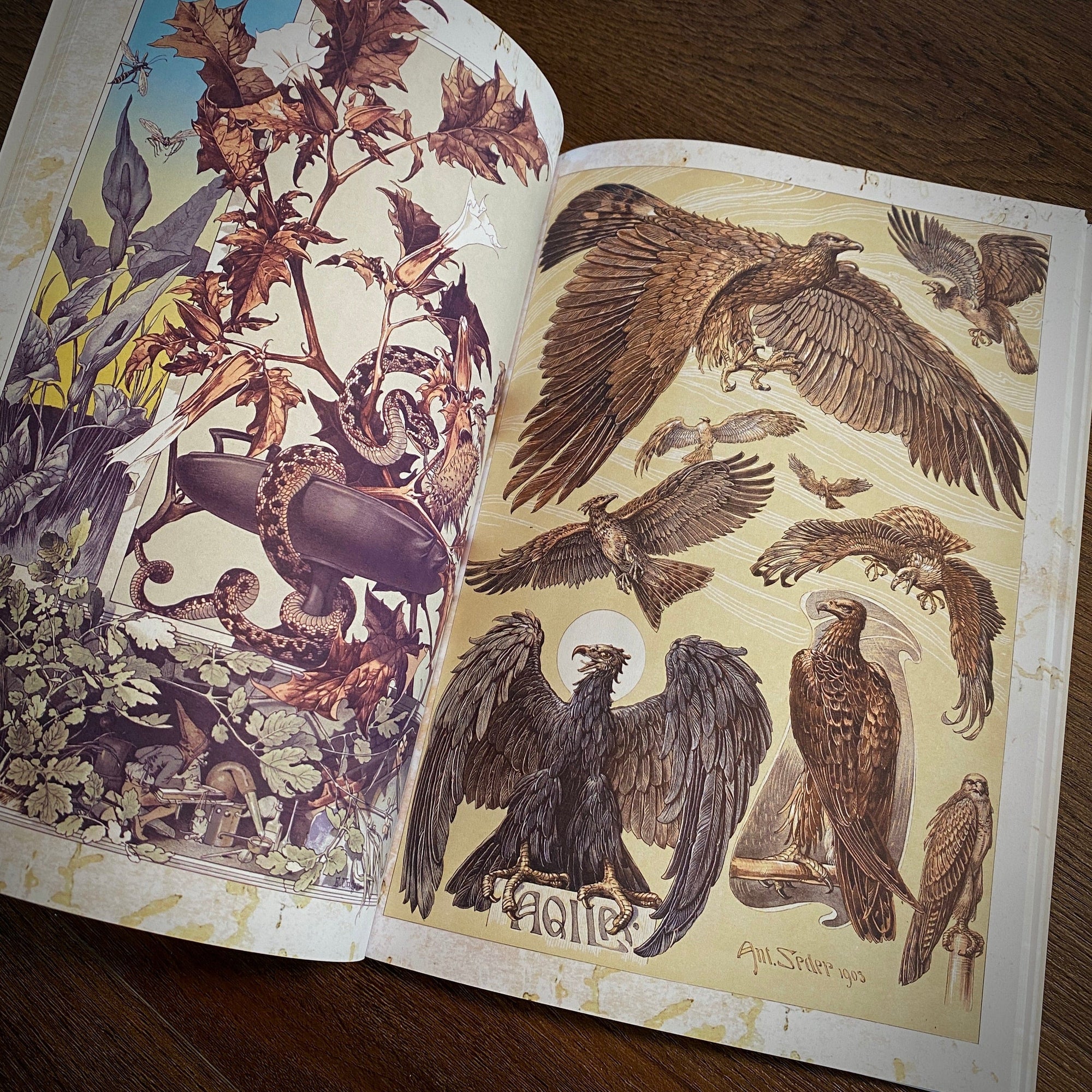 Tattoo Flash Collective Books Fantastical Beast & Plants (Scratch & Dent)