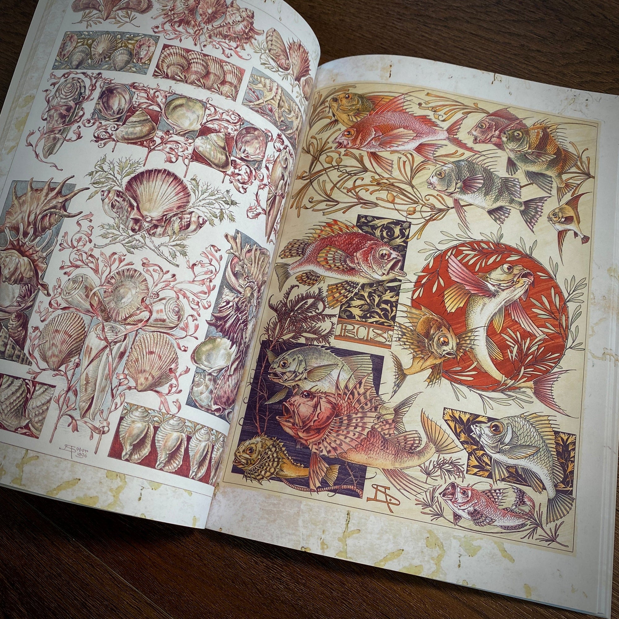 Tattoo Flash Collective Books Fantastical Beast & Plants (Scratch & Dent)