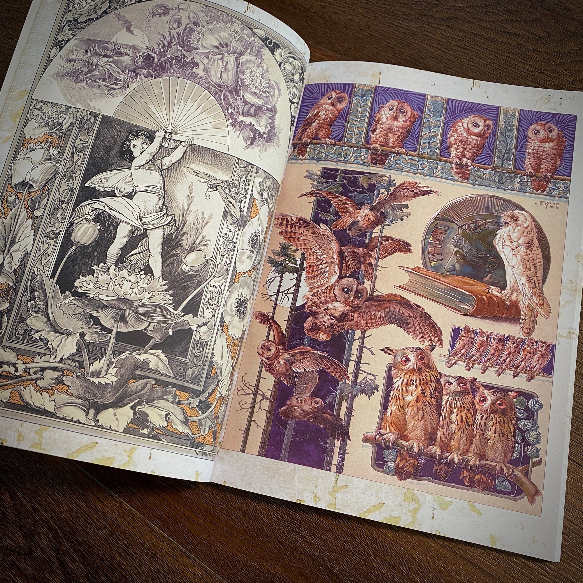 Tattoo Flash Collective Books Fantastical Beast & Plants (Scratch & Dent)