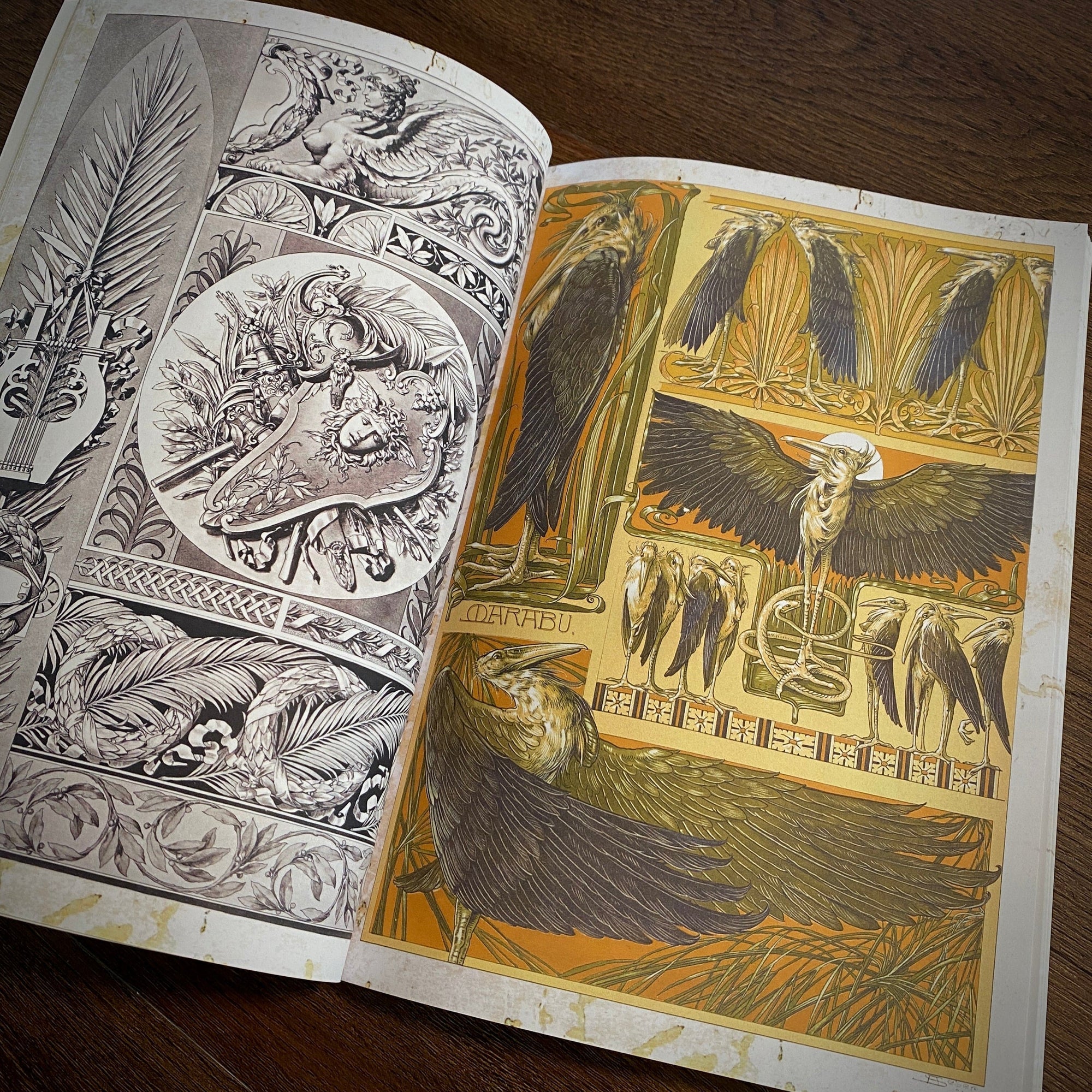 Tattoo Flash Collective Books Fantastical Beast & Plants (Scratch & Dent)