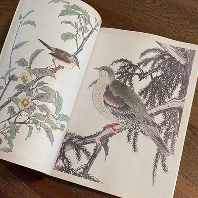 Tattoo Flash Collective Books Japanese Birds