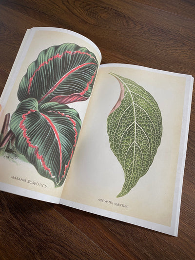 Tattoo Flash Collective Books Les Plantes