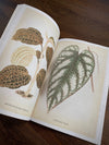 Tattoo Flash Collective Books Les Plantes