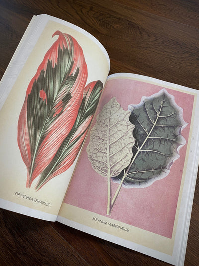 Tattoo Flash Collective Books Les Plantes