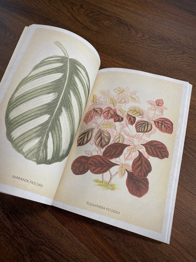 Tattoo Flash Collective Books Les Plantes