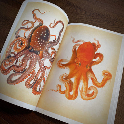 Tattoo Flash Collective Books Octopus & Squid