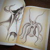 Tattoo Flash Collective Books Octopus & Squid