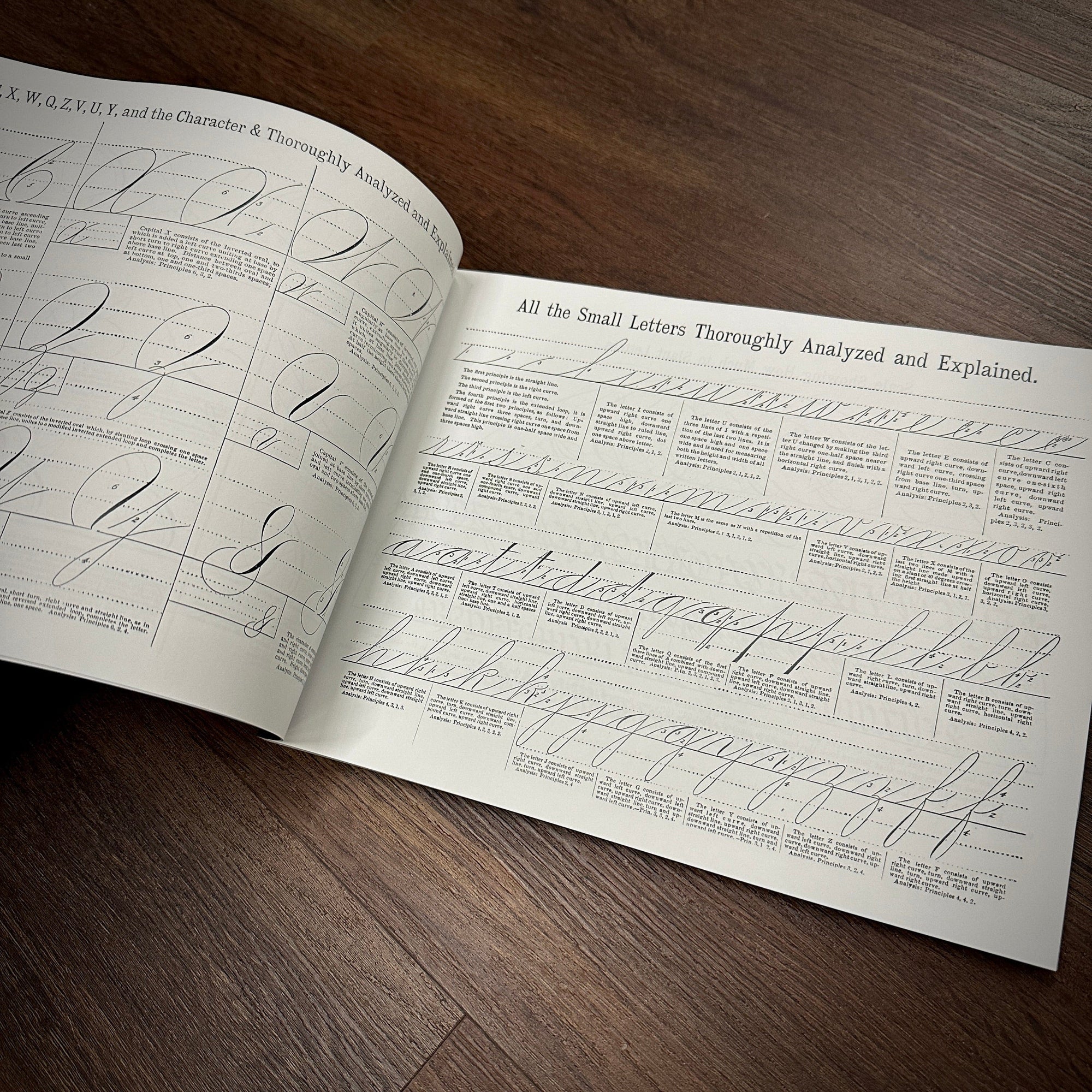 Tattoo Flash Collective Books The Sign & Lettering Book (Scratch & Dent)