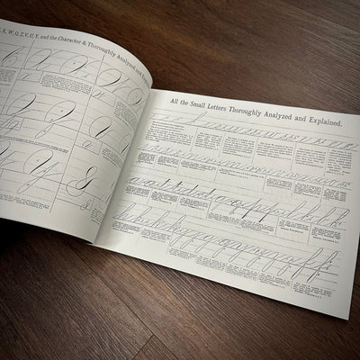 Tattoo Flash Collective Books The Sign & Lettering Book (Scratch & Dent)