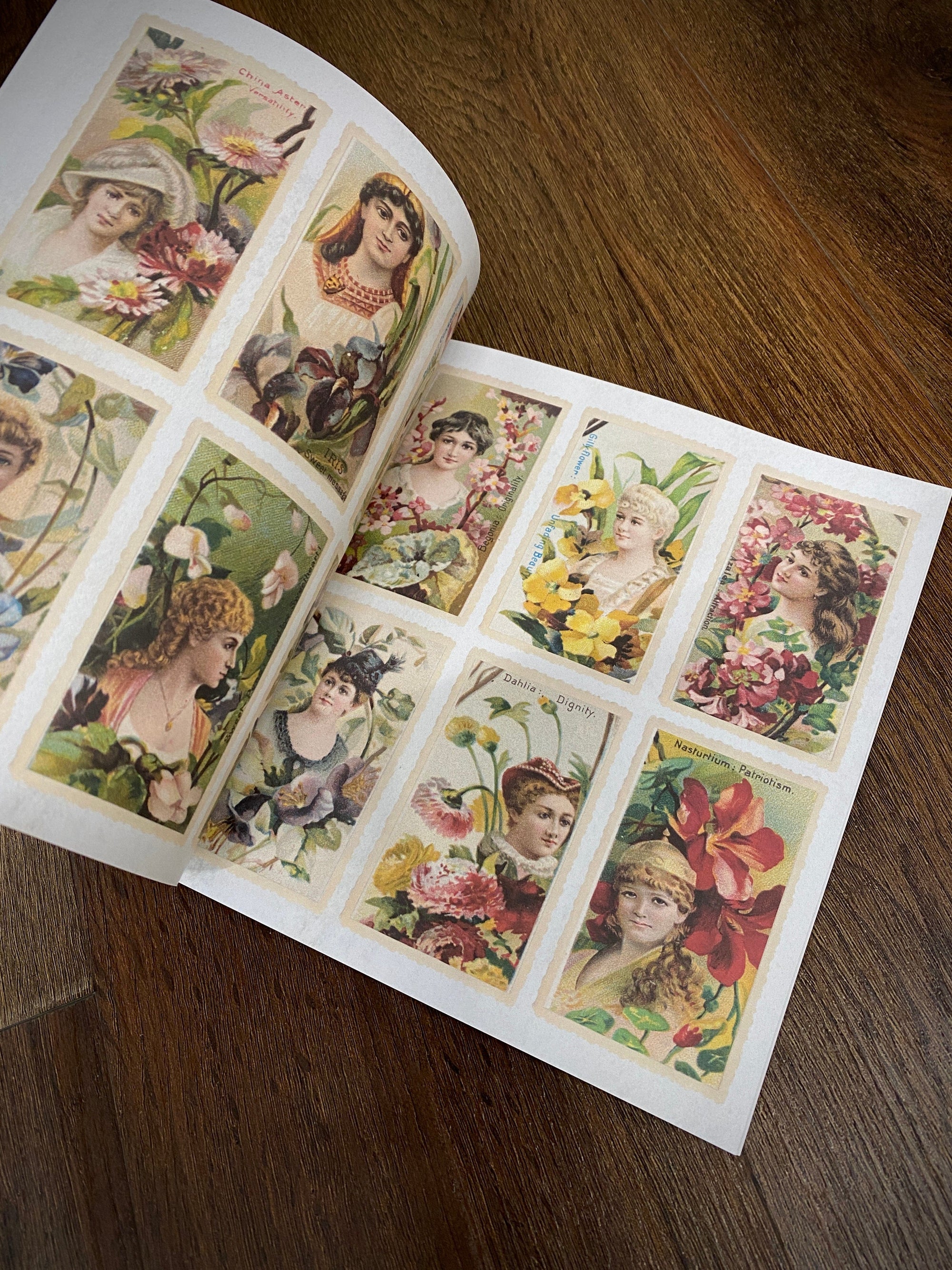 Tattoo Flash Collective Books Traditional Ladies (Scratch & Dent)