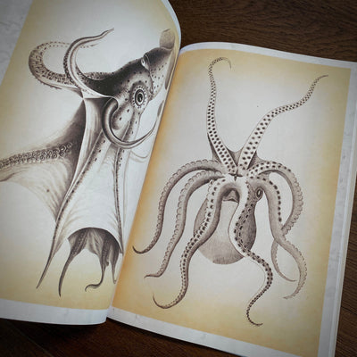 Tattoo Flash Collective digital books Octopus & Squid ebook