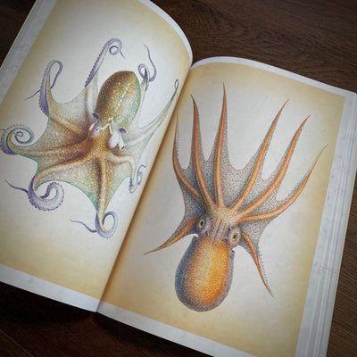 Tattoo Flash Collective digital books Octopus & Squid ebook