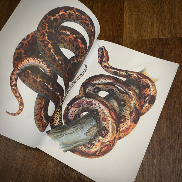 Snakes Ebook - tattooflashcollective