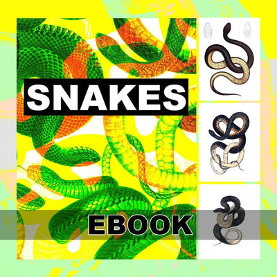 Tattoo Flash Collective digital books Snakes Ebook