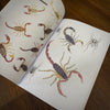 Tattoo Flash Collective digital books Spiders and Scorpions ebook
