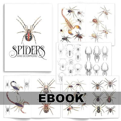 Tattoo Flash Collective digital books Spiders and Scorpions ebook
