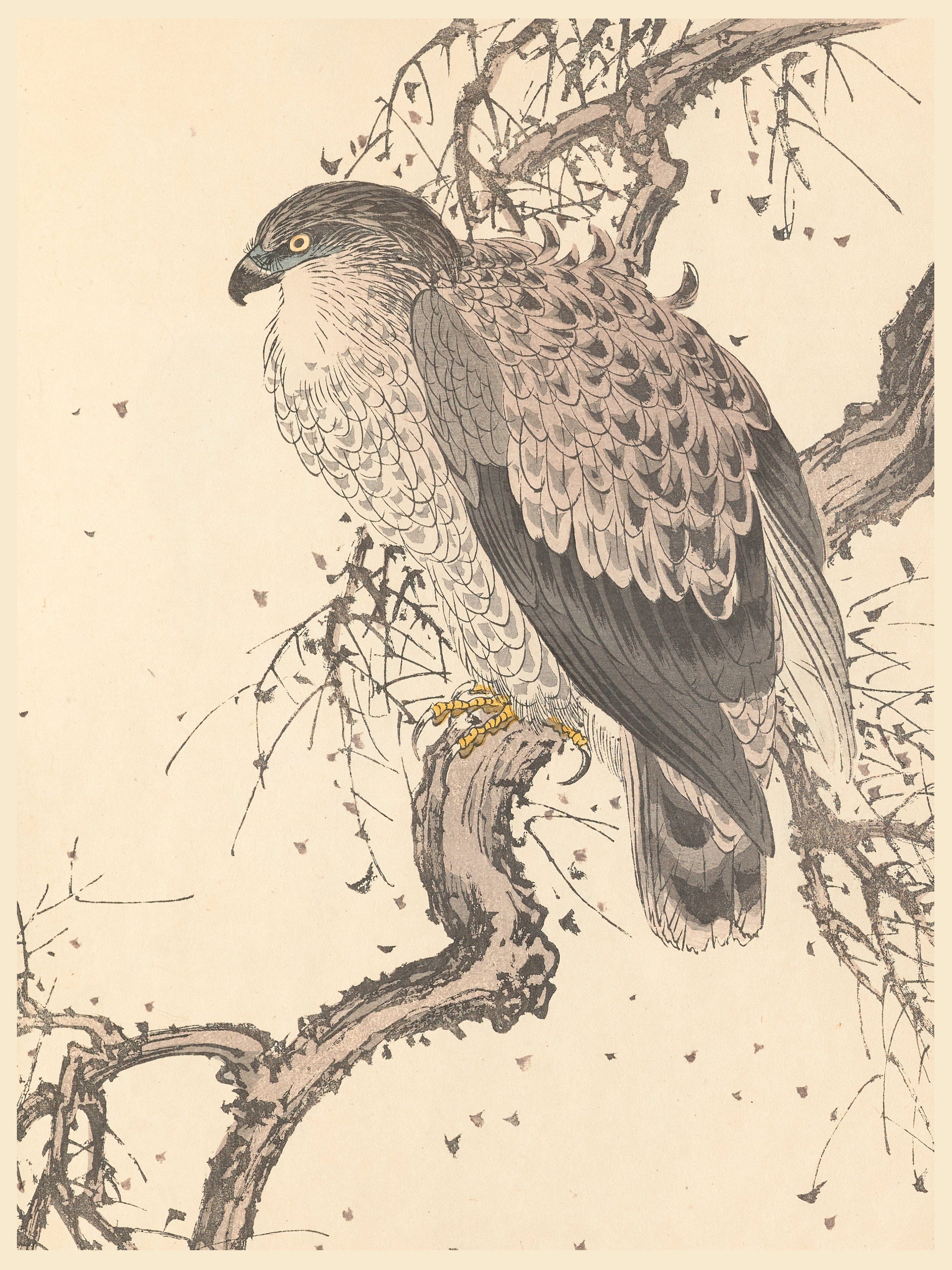 Tattoo Flash Collective prints Poster Print #03- 12"x16"