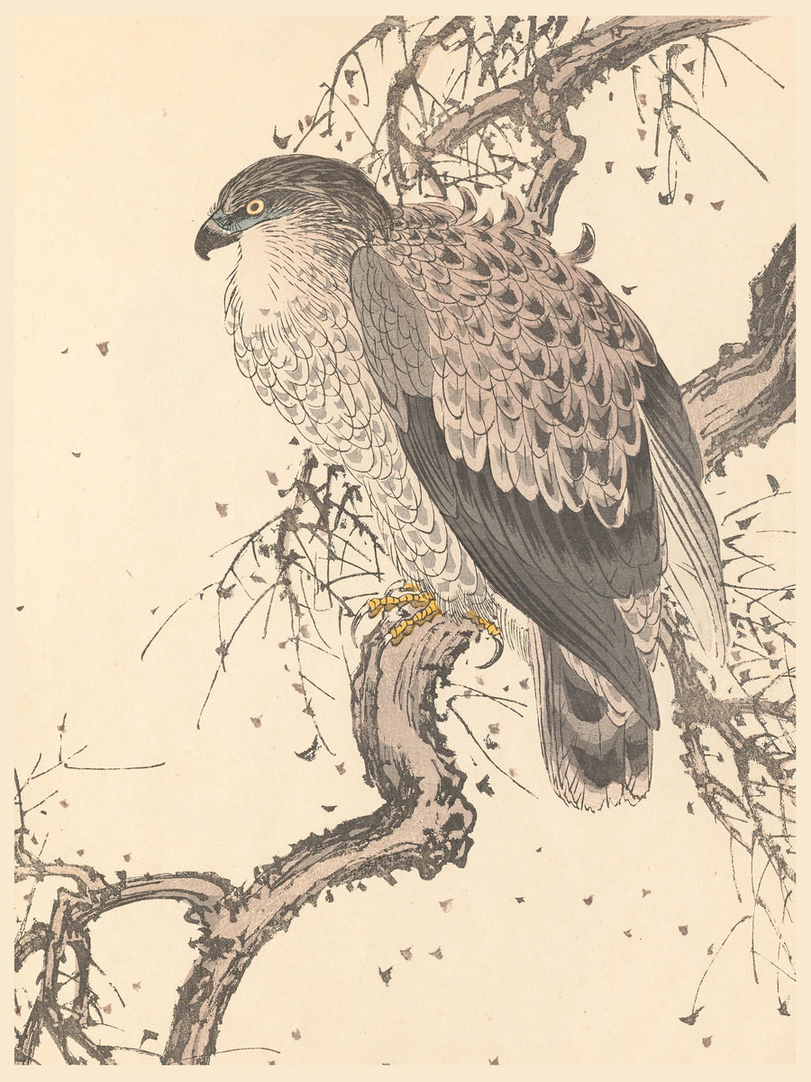 Tattoo Flash Collective prints Poster Print #03- 12"x16"