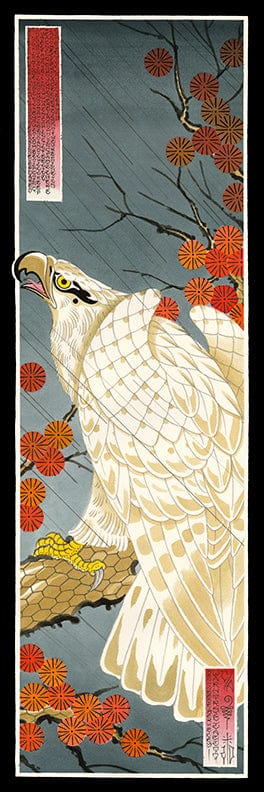 Ben Cheese prints Ben Cheese Print #11- 12"x36"