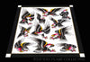 Braden Kendall prints Braden Kendall Print#3 16''x 20''