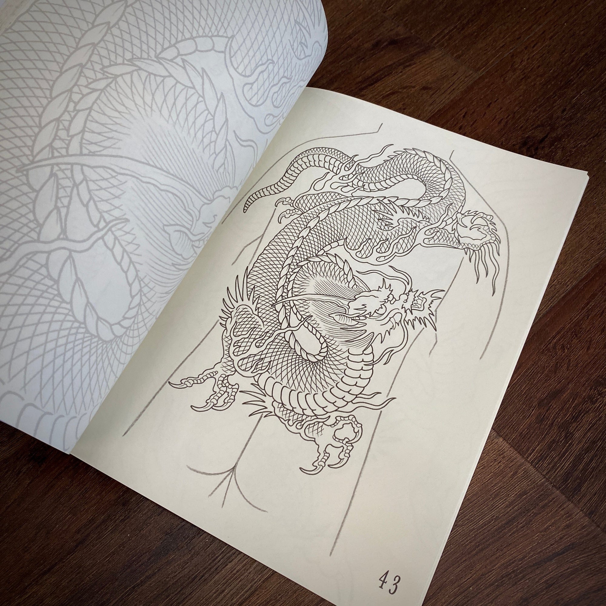 Erik Reith Books Erik Rieth 50 Dragons