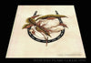 Marco Sergiampietri Print #5- 12''x18'' - tattooflashcollective
