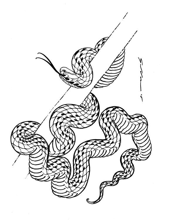 Matthew Gordon Books Drawn to Scale