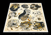 stef bastian prints 12"x16" Stef Bastian Print#5 12"x16" or 18"x24"