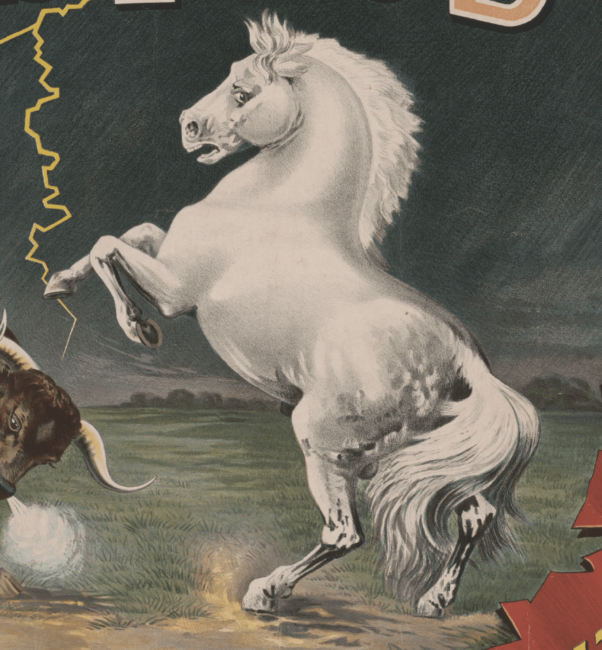 Horses - tattooflashcollective