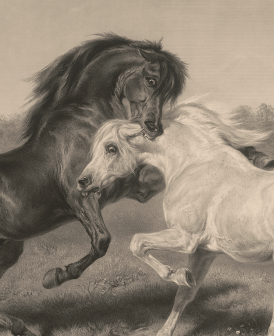 Tattoo Flash Collective Books Horses