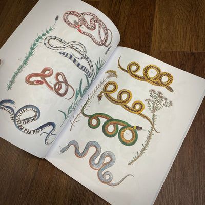 Tattoo Flash Collective Books Snakes