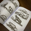 Tattoo Flash Collective Books Animal
