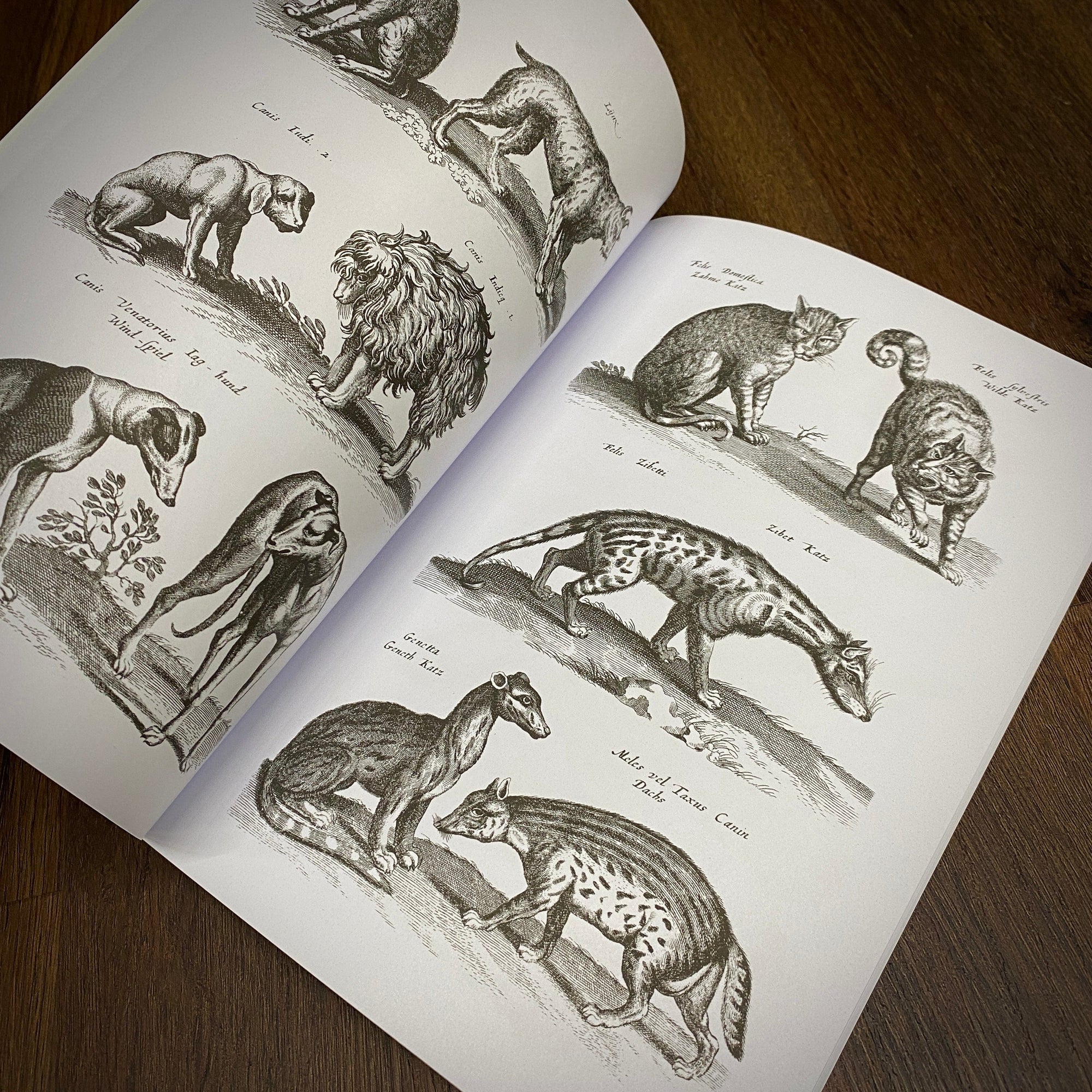 Tattoo Flash Collective Books Animal