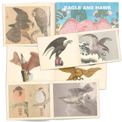Tattoo Flash Collective Books Eagle and Hawk