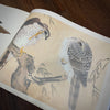 Tattoo Flash Collective Books Eagle and Hawk