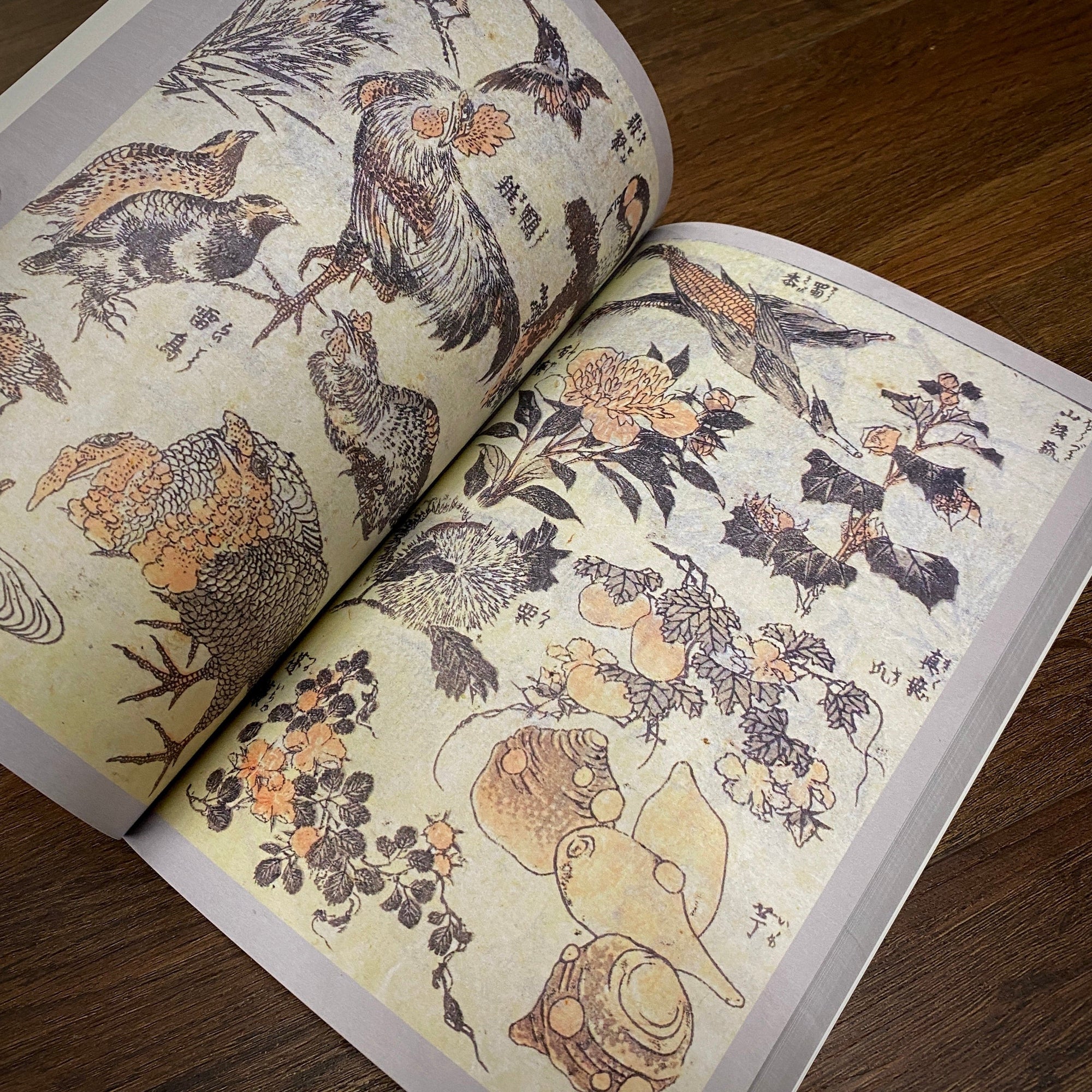 Tattoo Flash Collective Books Hokusai