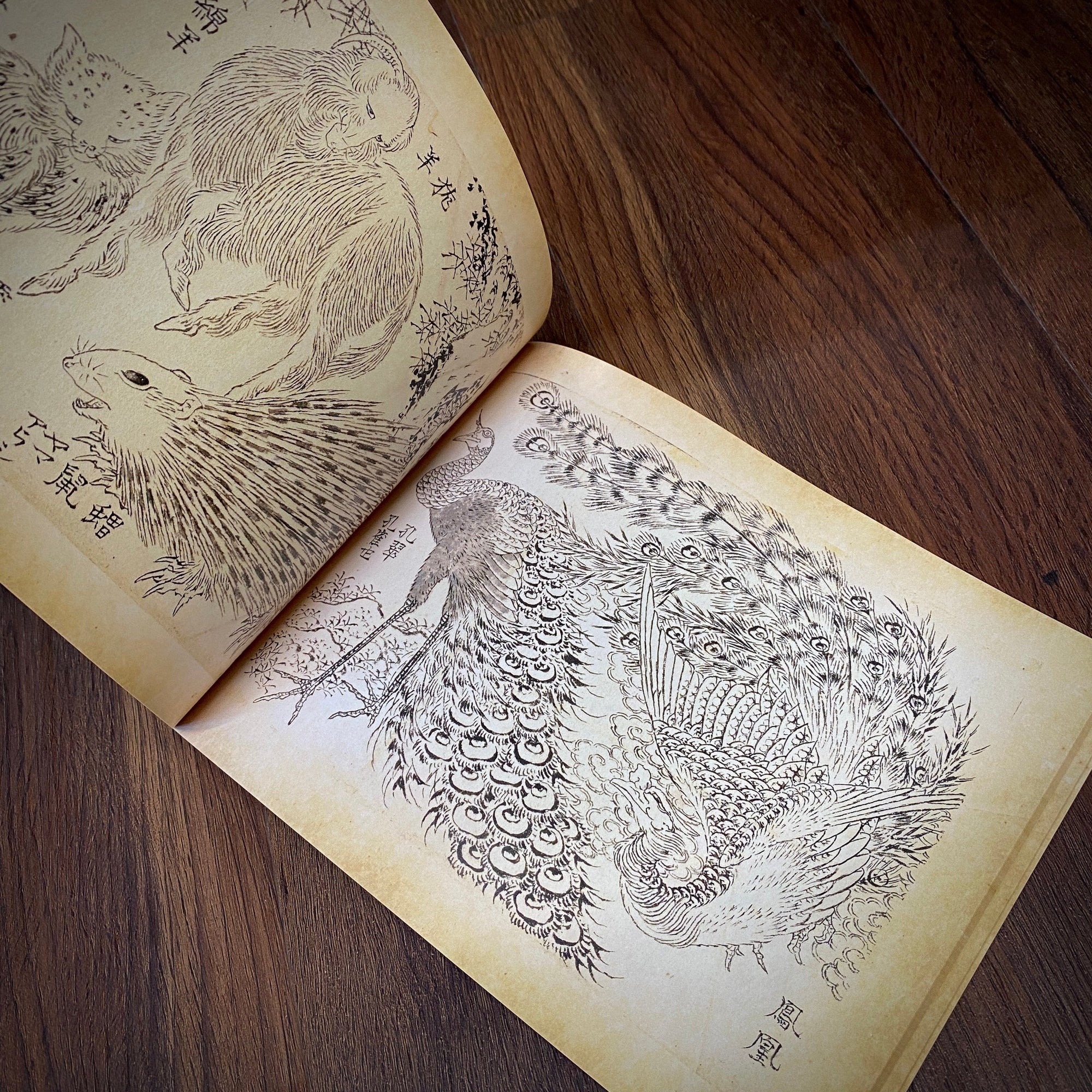 Tattoo Flash Collective Books Hokusai Line Drawings