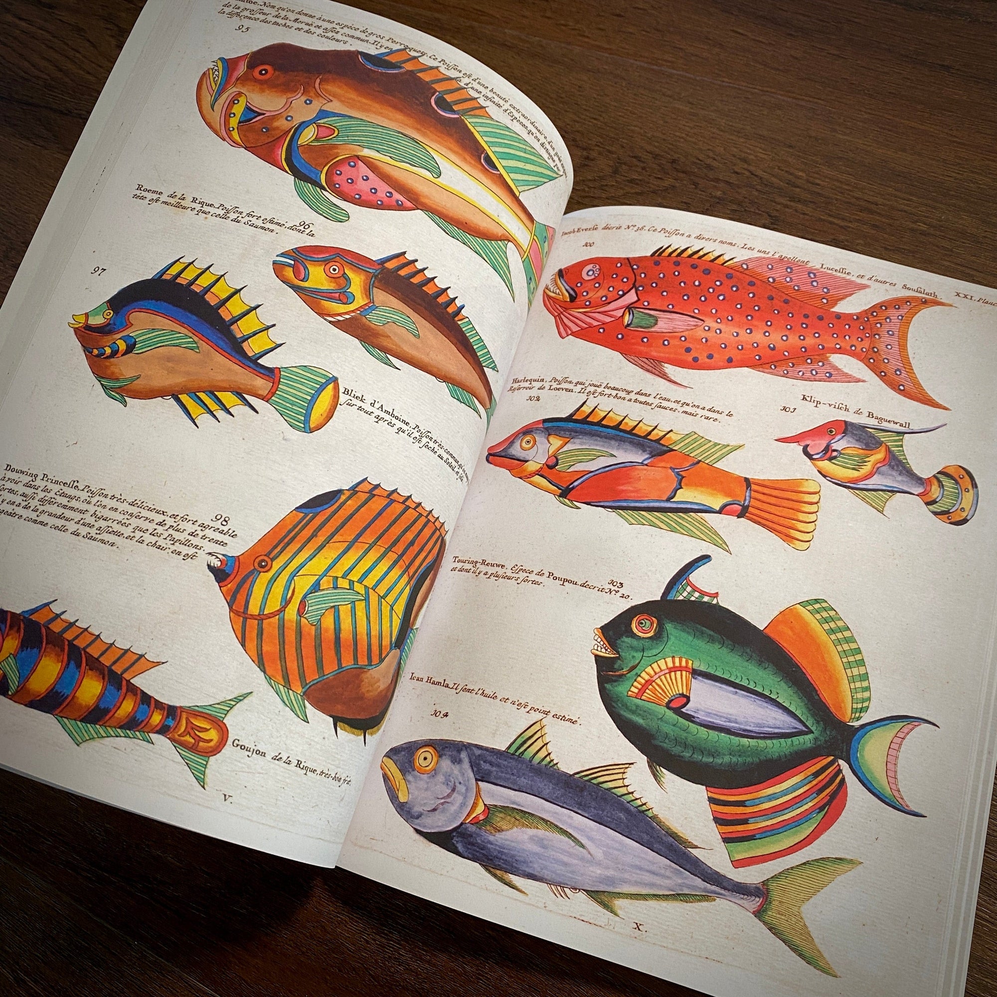 Tattoo Flash Collective Books Poissons