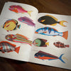 Tattoo Flash Collective Books Poissons