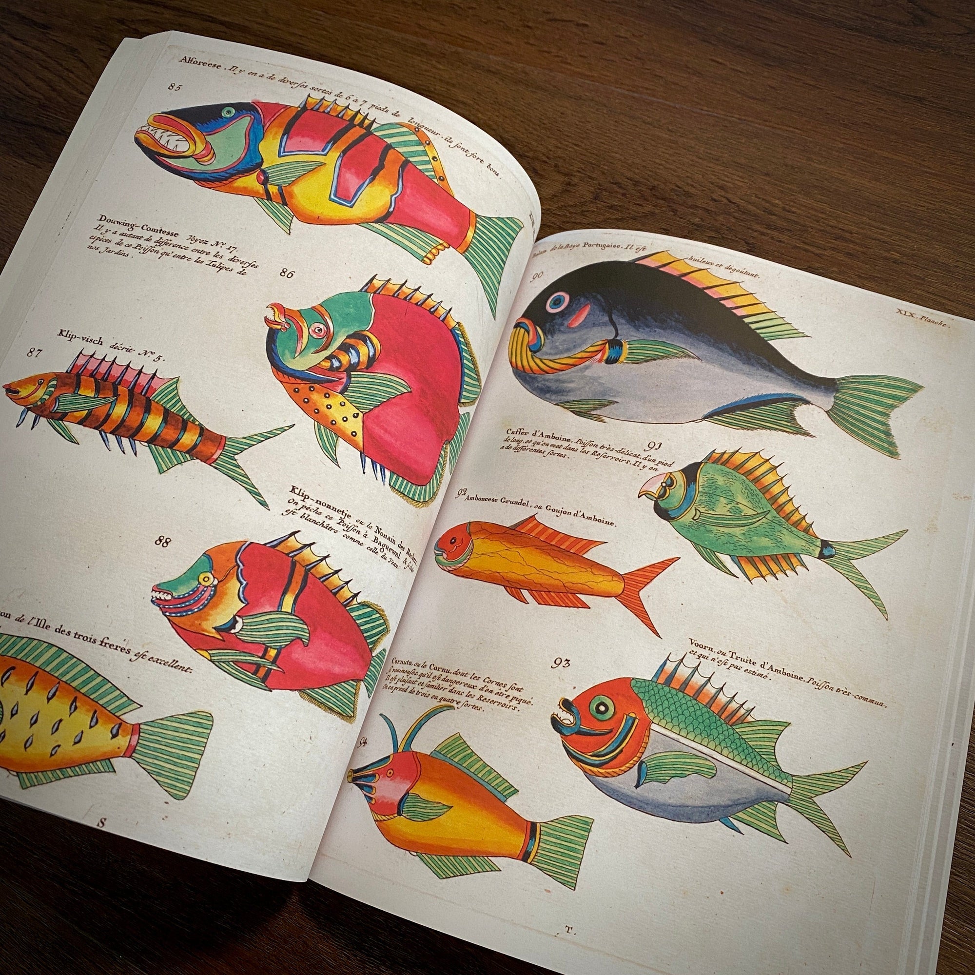 Tattoo Flash Collective Books Poissons