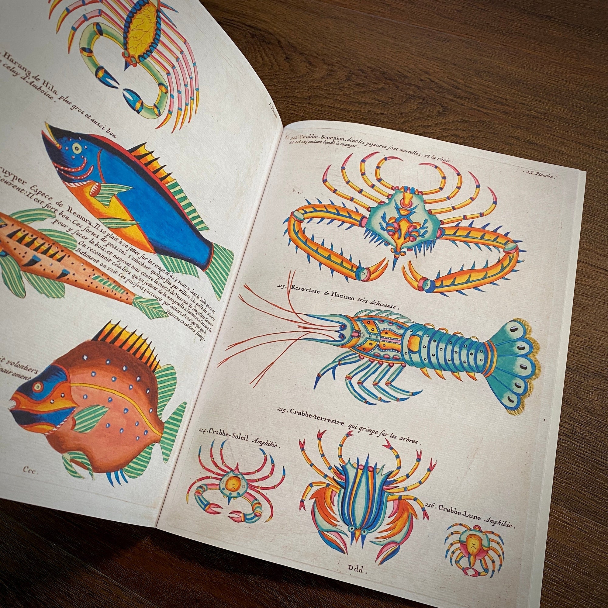 Tattoo Flash Collective Books Poissons